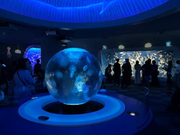 新江ノ島水族館に投稿された画像（2024/9/15）