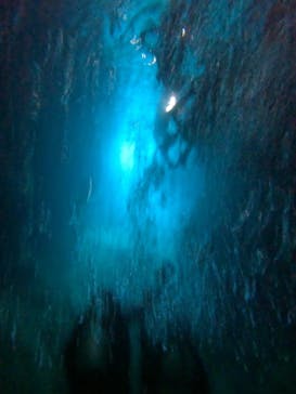 沖縄マリンサービス碧に投稿された画像（2024/9/15）