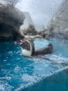 仙台うみの杜水族館に投稿された画像（2024/9/15）