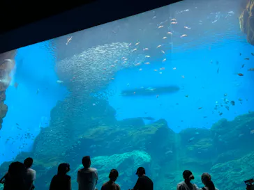 仙台うみの杜水族館に投稿された画像（2024/9/15）