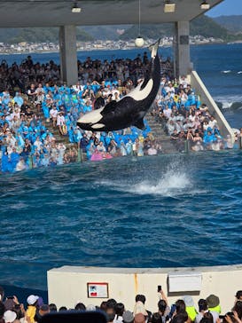 鴨川シーワールドに投稿された画像（2024/9/15）