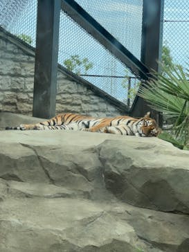 日立市かみね動物園に投稿された画像（2024/9/15）