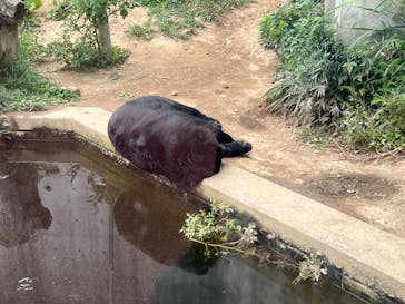 日立市かみね動物園に投稿された画像（2024/9/15）