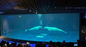 島根県立 しまね海洋館に投稿された画像（2024/9/15）