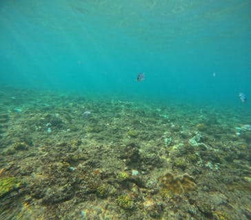 沖縄マリンサービス碧に投稿された画像（2024/9/15）