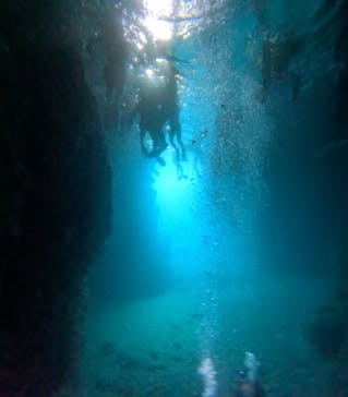 沖縄マリンサービス碧に投稿された画像（2024/9/15）