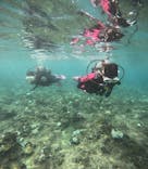 沖縄マリンサービス碧に投稿された画像（2024/9/15）