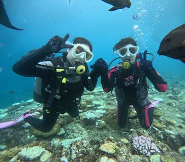 沖縄マリンサービス碧に投稿された画像（2024/9/15）