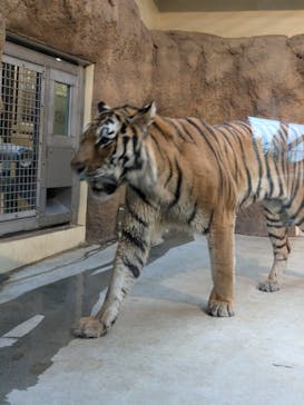 日立市かみね動物園に投稿された画像（2024/9/15）
