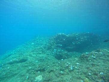 武藤潜水に投稿された画像（2024/9/15）