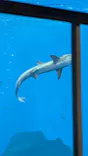 仙台うみの杜水族館に投稿された画像（2024/9/15）