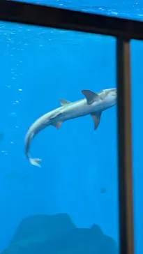 仙台うみの杜水族館に投稿された画像（2024/9/15）