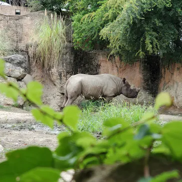 天王寺動物園に投稿された画像（2024/9/15）