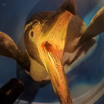 天王寺動物園に投稿された画像（2024/9/15）