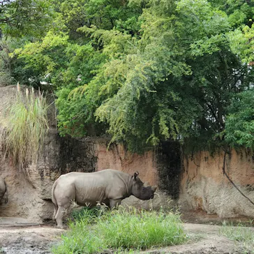 天王寺動物園に投稿された画像（2024/9/15）