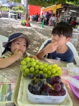 グレープガーデン　安全農園に投稿された画像（2024/9/15）