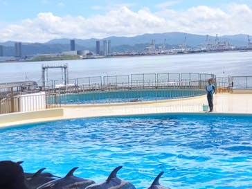 マリンワールド海の中道に投稿された画像（2024/9/15）