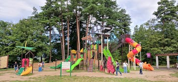 福井県立恐竜博物館に投稿された画像（2024/9/15）