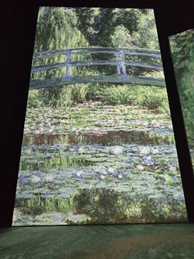 モネ＆フレンズ・アライブに投稿された画像（2024/9/15）