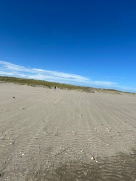 蓮沼ウォーターガーデンに投稿された画像（2024/9/15）