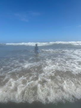 蓮沼ウォーターガーデンに投稿された画像（2024/9/15）