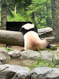 恩賜上野動物園に投稿された画像（2024/9/15）