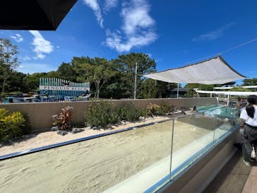 マリンワールド海の中道に投稿された画像（2024/9/15）