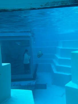 マリンワールド海の中道に投稿された画像（2024/9/15）