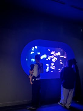 マリンワールド海の中道に投稿された画像（2024/9/15）