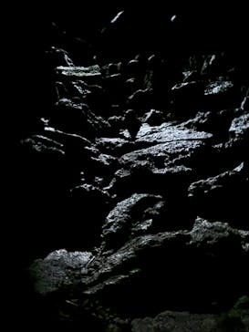 FUJI HAT（フジハット）に投稿された画像（2024/9/15）