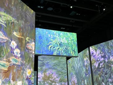 モネ＆フレンズ・アライブに投稿された画像（2024/9/15）