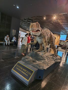 福井県立恐竜博物館に投稿された画像（2024/9/15）