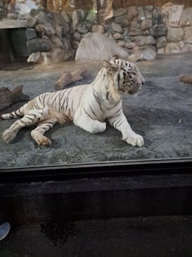 東武動物公園に投稿された画像（2024/9/15）