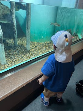 しながわ水族館に投稿された画像（2024/9/15）