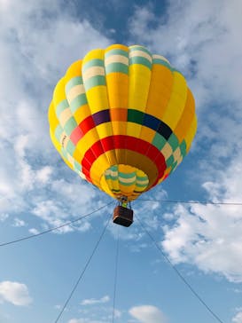 松島熱気球・パラグライダー体験に投稿された画像（2024/9/15）