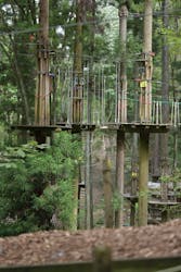 冒険の森やまぞえに投稿された画像（2024/9/15）