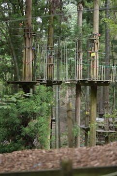 冒険の森やまぞえに投稿された画像（2024/9/15）