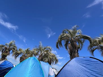 蓮沼ウォーターガーデンに投稿された画像（2024/9/15）