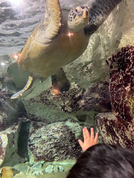 九十九島パールシーリゾートに投稿された画像（2024/9/15）