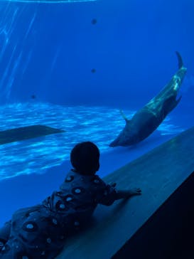 九十九島パールシーリゾートに投稿された画像（2024/9/15）