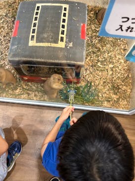 アニタッチみなとみらいに投稿された画像（2024/9/15）