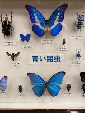 JOYPOLIS 特別イベントスペースに投稿された画像（2024/9/15）