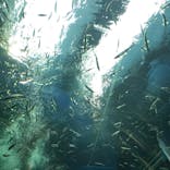 滋賀県立琵琶湖博物館に投稿された画像（2024/9/15）