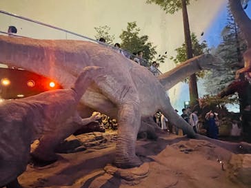 福井県立恐竜博物館に投稿された画像（2024/9/15）