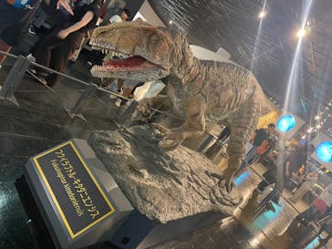 福井県立恐竜博物館に投稿された画像（2024/9/15）