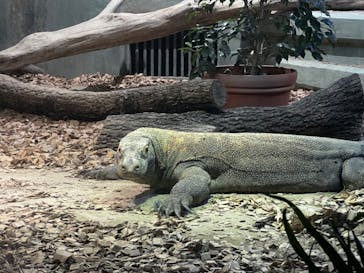 名古屋市東山動植物園に投稿された画像（2024/9/15）