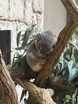 名古屋市東山動植物園に投稿された画像（2024/9/15）