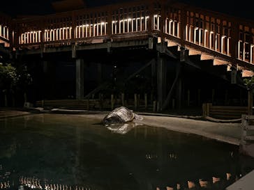 新江ノ島水族館に投稿された画像（2024/9/15）