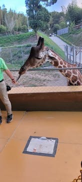 しろとり動物園に投稿された画像（2024/9/15）