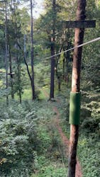 フォレストアドベンチャー・千葉に投稿された画像（2024/9/15）